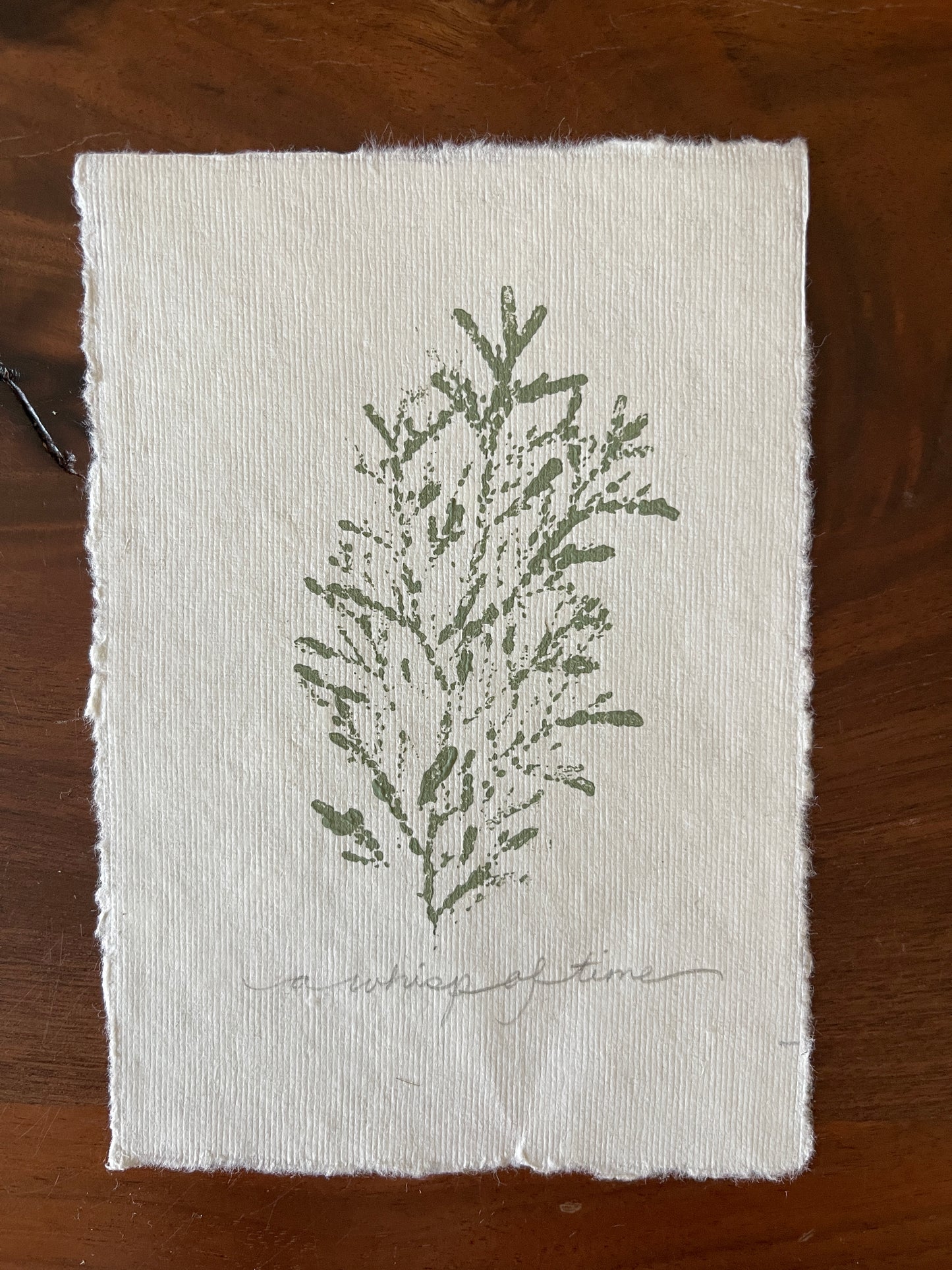 Arborvitae monoprint sage ink