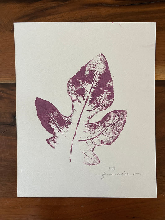 Fig leaf monoprint