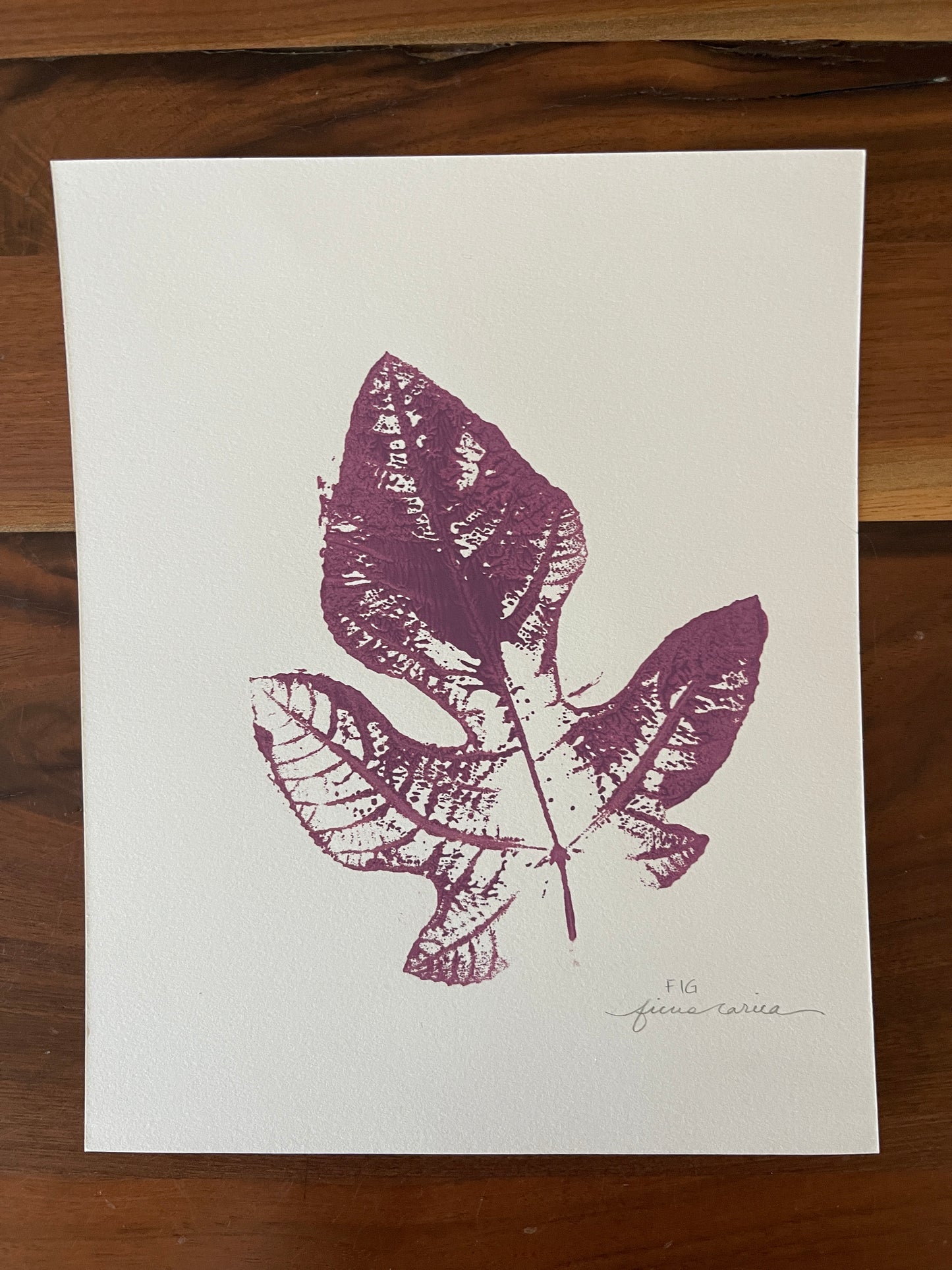 Fig leaf monoprint