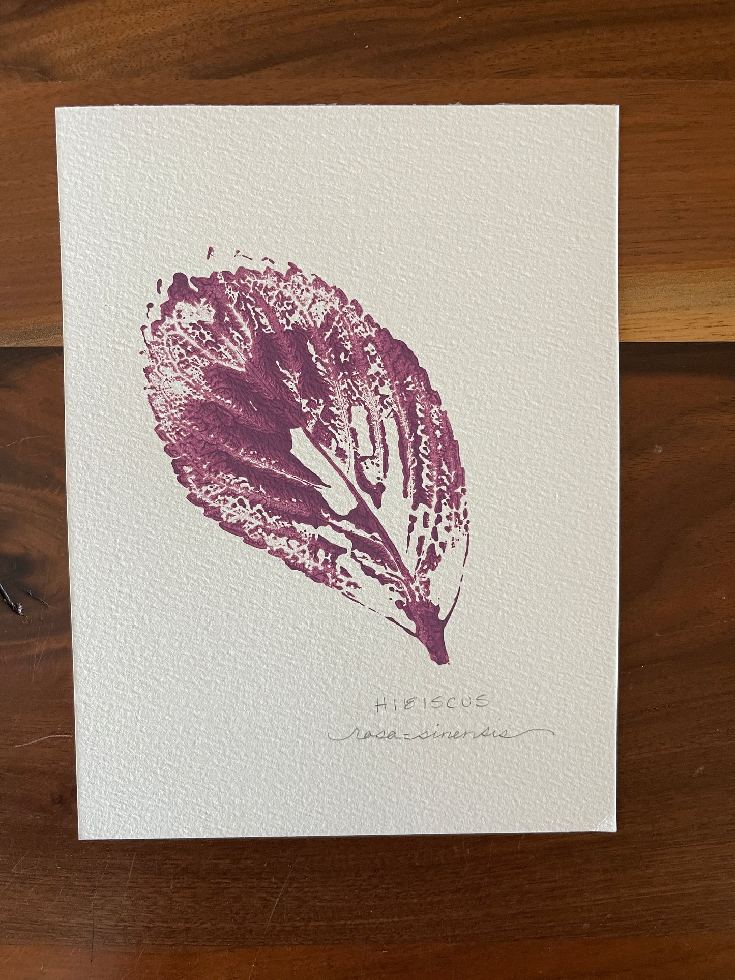 Hibiscus leaf monoprint