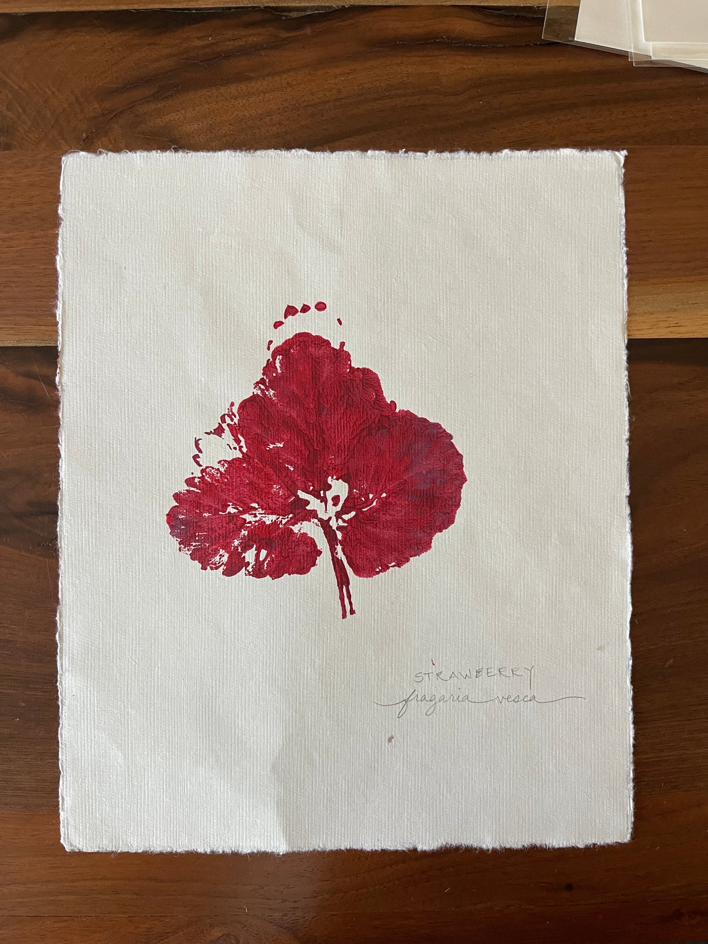 Strawberry leaf monoprint