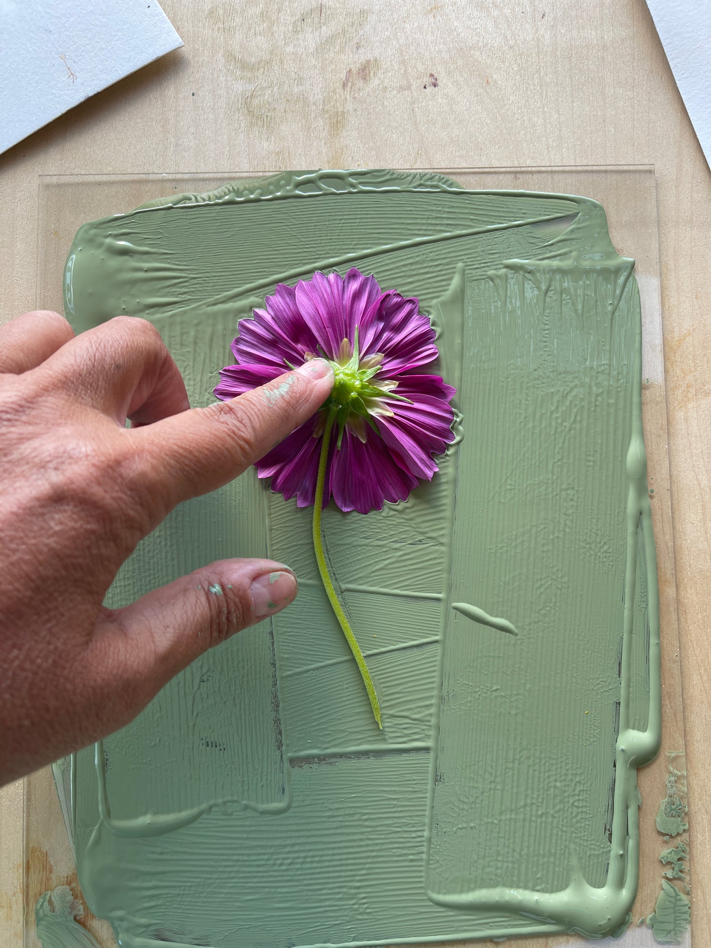 Wildflower monoprint sage