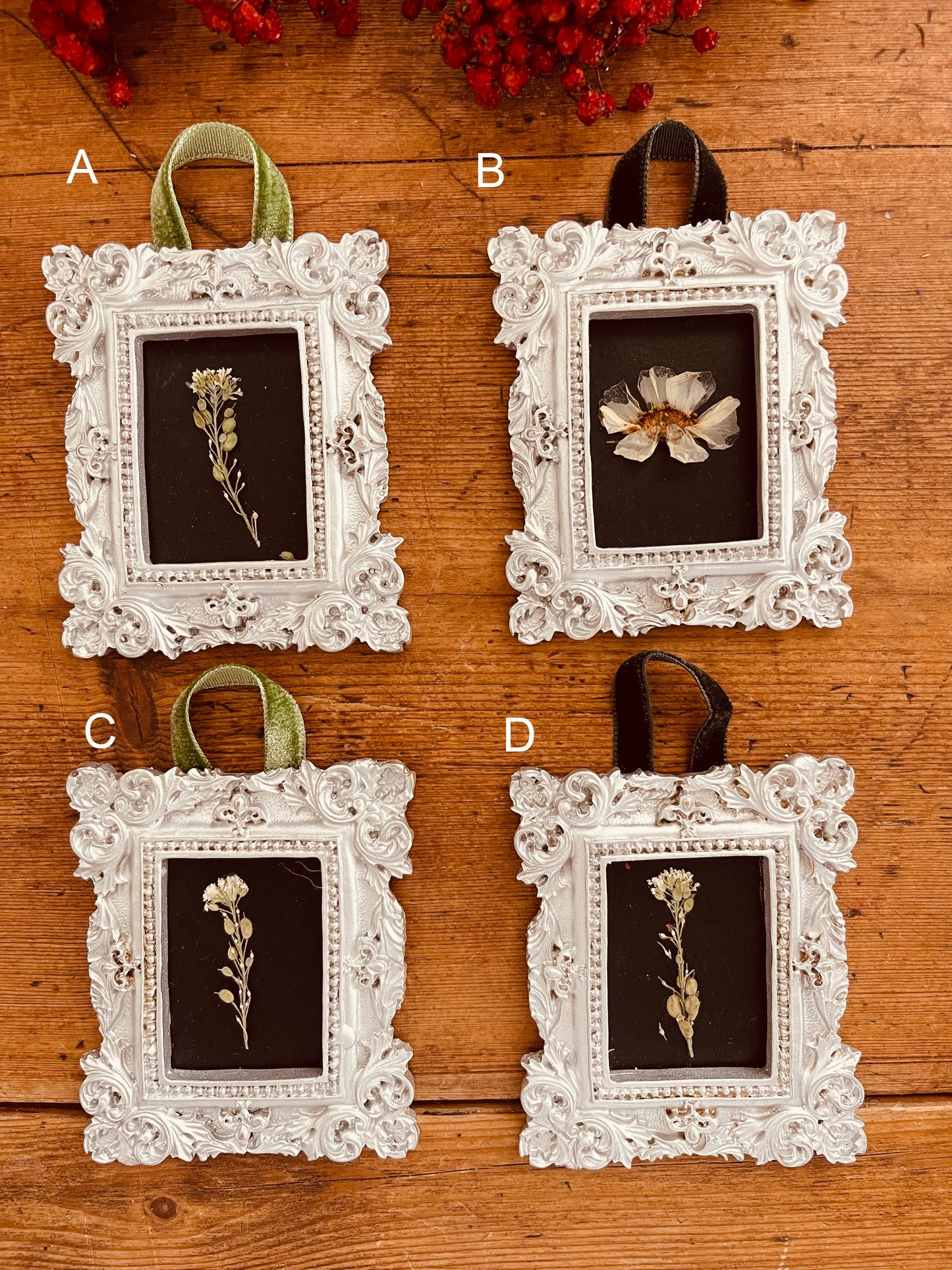 Selection of Mini's Silver in Frames