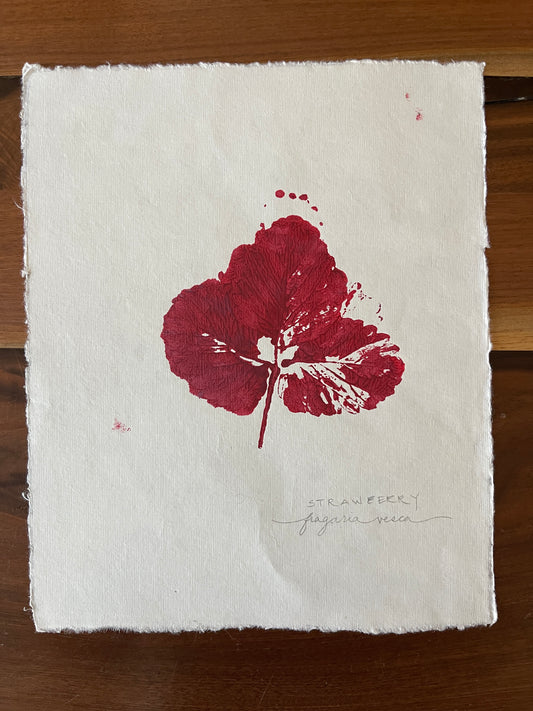 Strawberry leaf monoprint