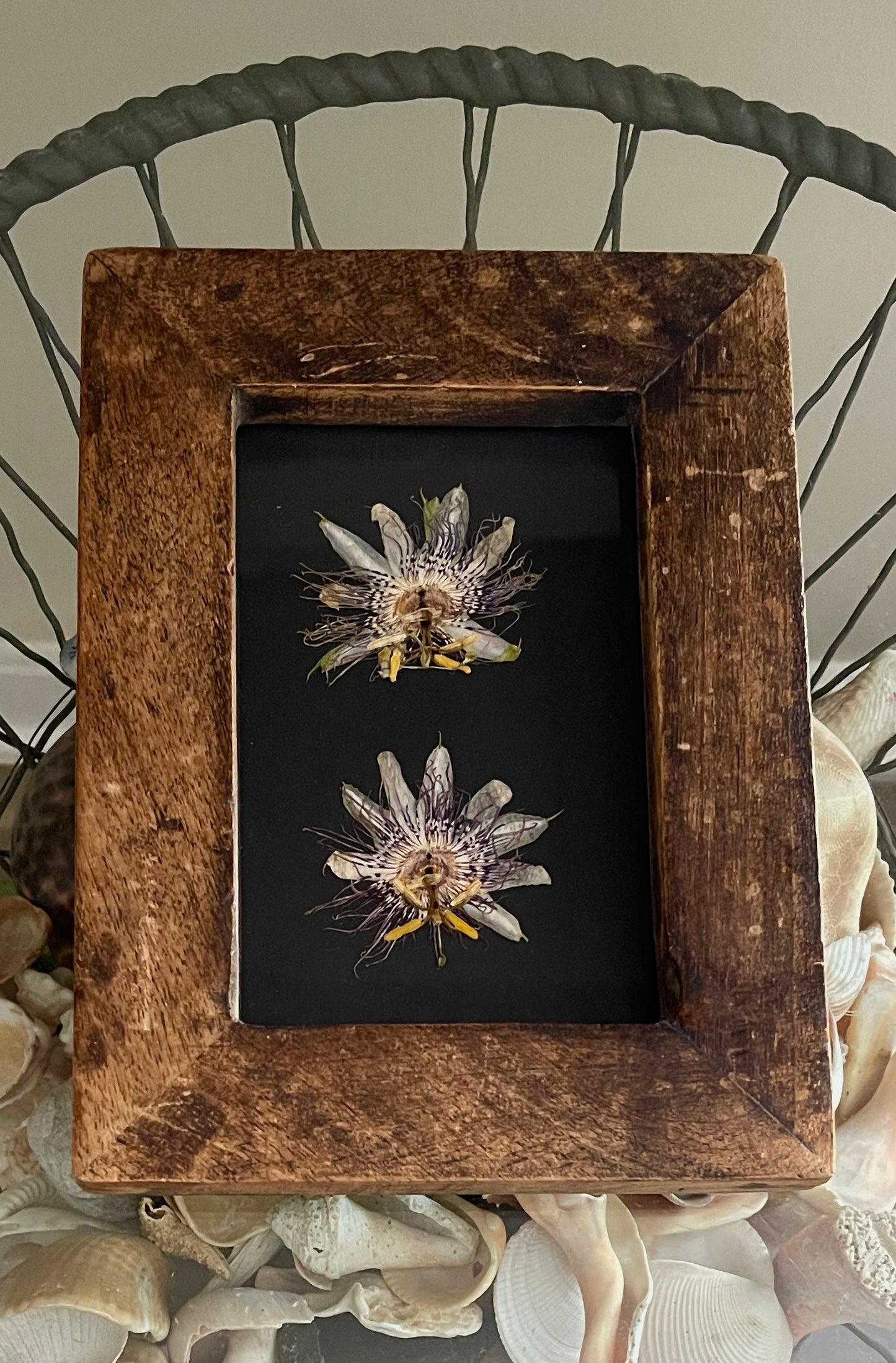 Vintage Passion Flowers